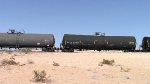 WB Manifest Frt at Erie NV -42